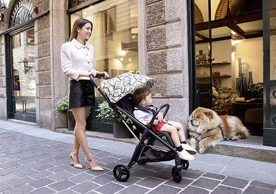 Produktbild: Buggy der Firma "PegPerego"